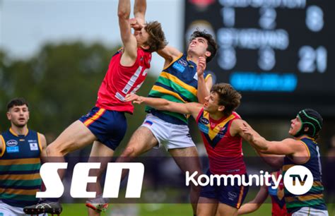 vafa results|vafa premier b results.